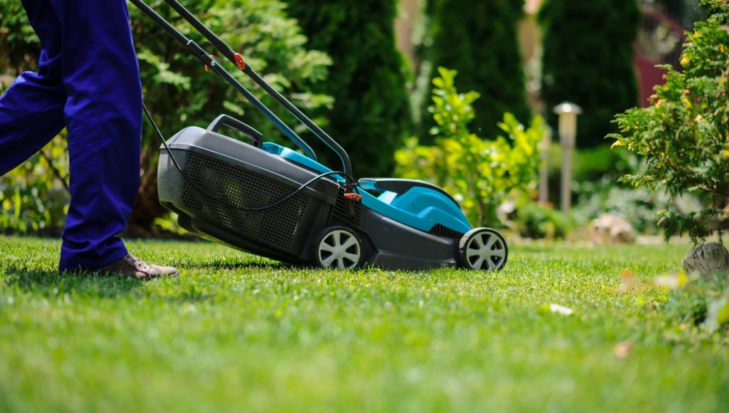 The grass mower in actione is cutting the grass