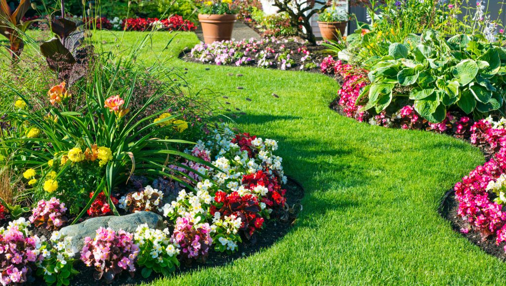 Beautiful home garden in full bloom