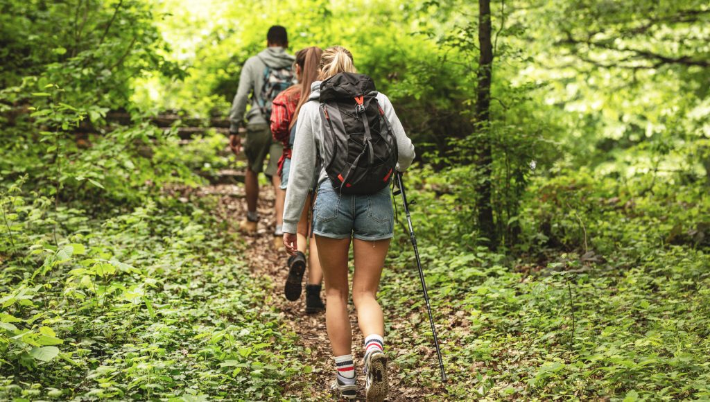 Group of friends hiking together in nature.They walking on old path.Rear view.